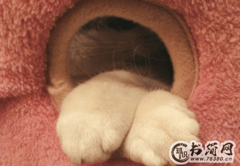 表示爱情甜蜜的句子：思念就像河流般，滔滔不绝地流向大海，流向我的心房