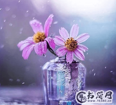 男生伤感说说句子