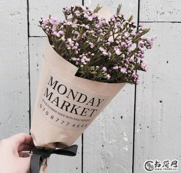 推荐2019上半年度实力搞笑的群名给广大网友