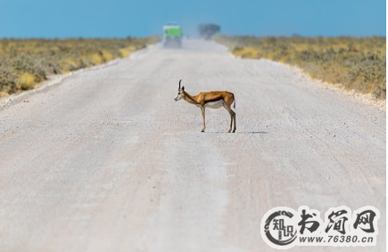 爱情句子表白 挽回爱情的句子（66句）