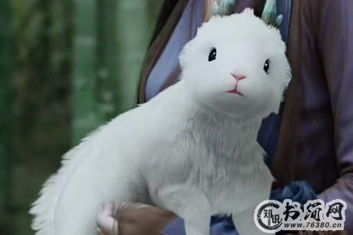 宸汐缘白泽是什么神兽?白泽长什么样?