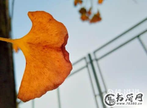 关于友情离别的伤感句子（68条）