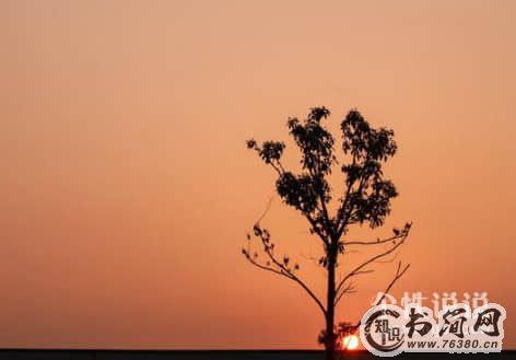 关于离别的伤感句子（84条）