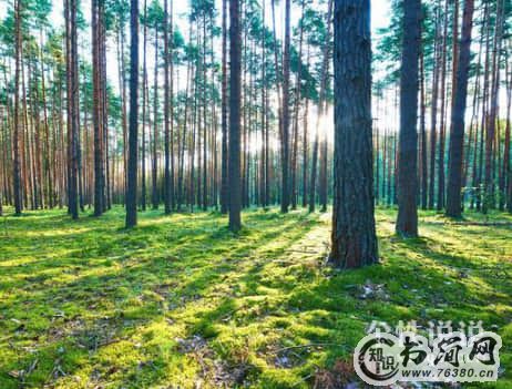 关于男人的伤心的伤感句子（81条）