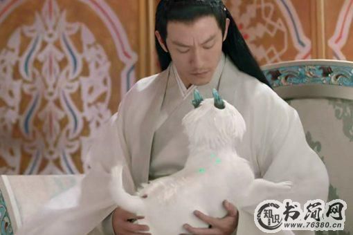 宸汐缘白泽是什么神兽?白泽长什么样?