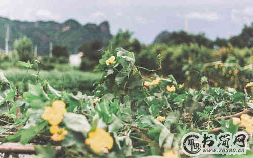 描写景色优美的句子（64条）