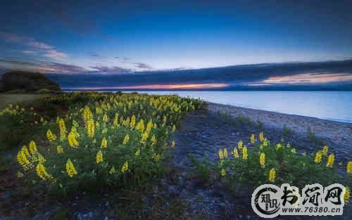 适合春天赞美花的优美句子摘抄