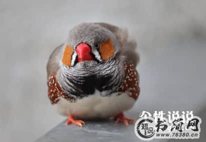 微信说说心情句子大全 忧伤唯美的句子（60条）