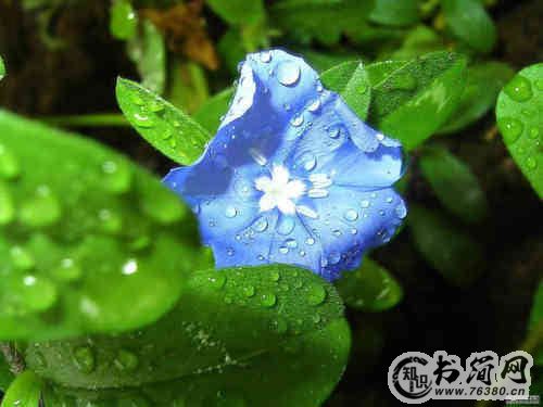 最新描写云的优美句子摘抄