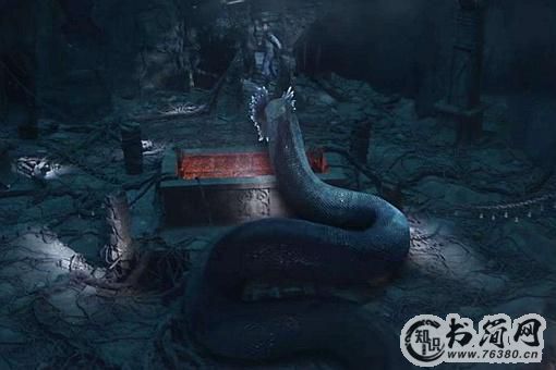 秦岭神树是谁造的?秦岭神树上面有什么