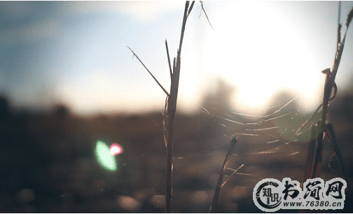 感人暖心的情话大全（65条）