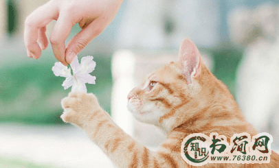 心情低落的伤感说说：适合发朋友圈的伤感说说