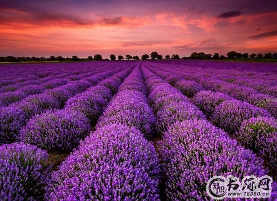 qq空间早安问候语