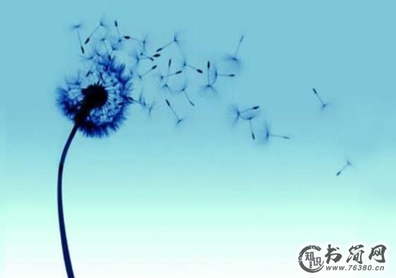 赞美艺术的句子