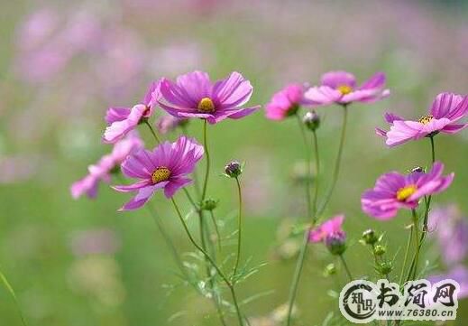 正能量积极向上的句子