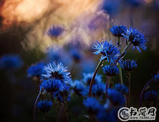 一句话经典正能量语录