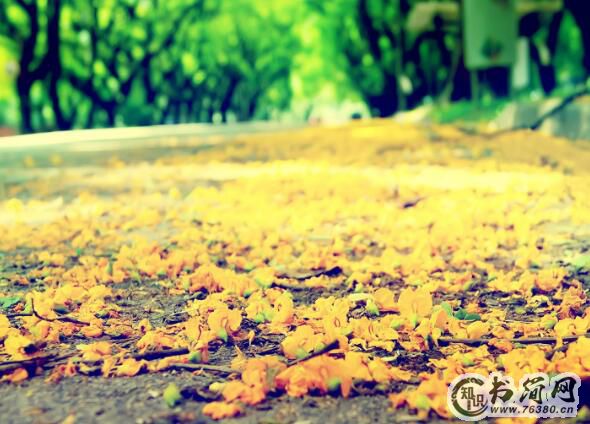 最热血沸腾的正能量句子