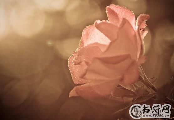 鼓舞人心的励志语句