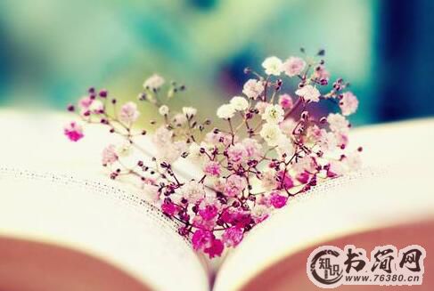 超级搞笑幽默句子