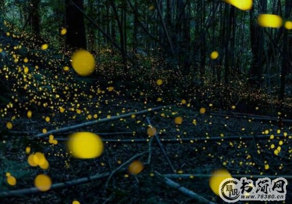 令人感到心酸的伤感句子