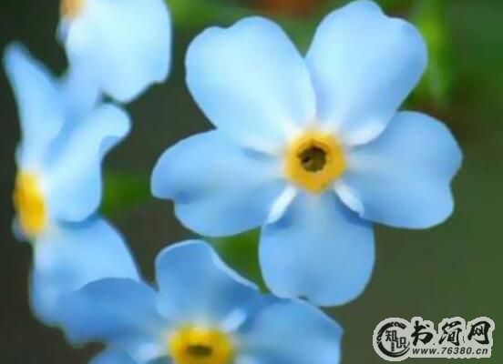 让人看了心酸的句子