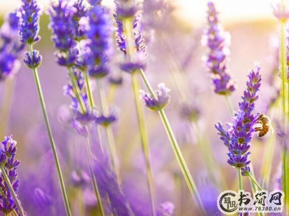 中秋节的美好温馨祝福语