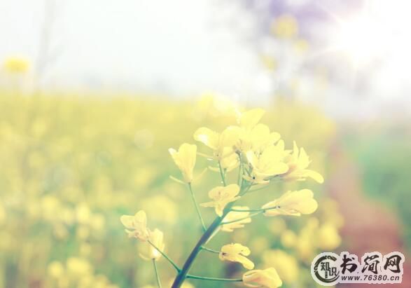 中秋节的祝福语50句