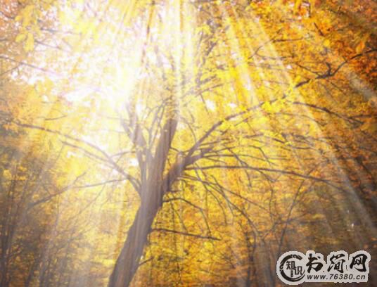 关于中秋节快乐的祝福语