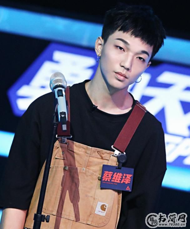 蔡维泽为什么不火