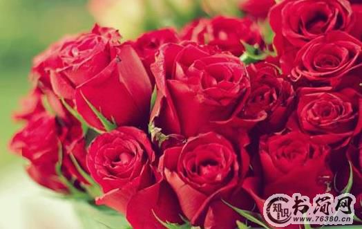 追求女生送花花啦 追女孩子送香水百合也非常合适