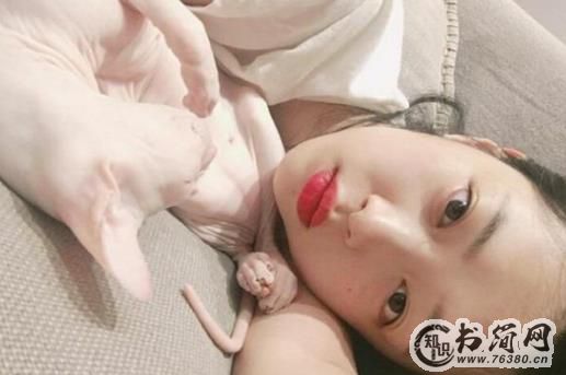 维持异地恋的方法有哪些