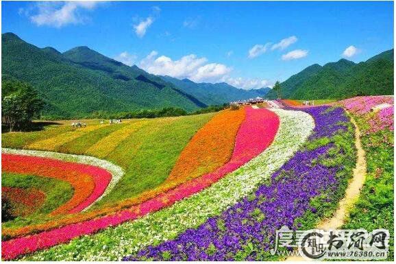 世界十大绝美花海，每一处都是美丽浪漫的最佳告白之地