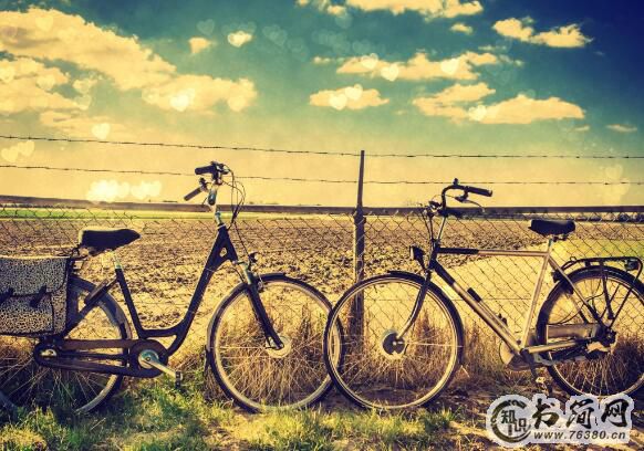 怀念母亲的句子