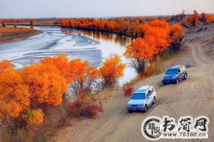 描写金秋十月的诗词_金秋十月诗词_赞美十月的诗