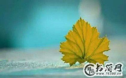 生活感悟经典句子_正能量的经典语句_心灵鸡汤经典励志语录_中国历史网