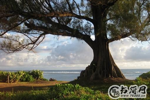 哪五种房子越住越穷?盘点十八条风水禁忌