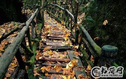 什么男人可以嫁？低调奢华有内涵