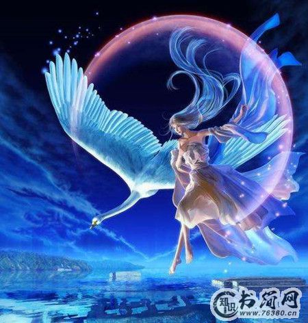 男人抢着娶的星座女