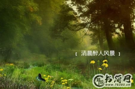 描写早晨的句子