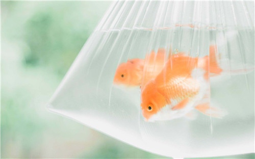 表达自己渺小的句子 描写人渺小的句子