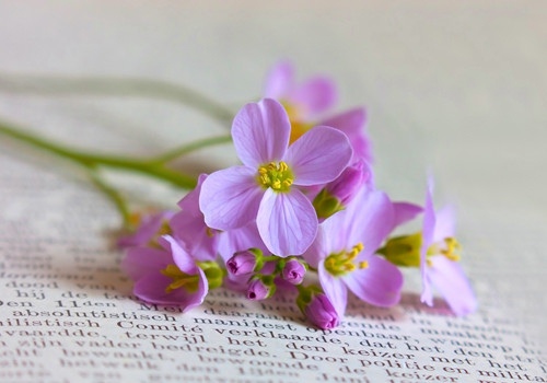 曹文轩作品的经典句子