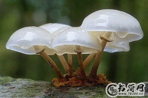 尝尽人生百味经典句子 感悟人生百味的短句