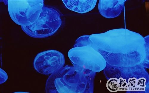 尝尽人生百味经典句子 感悟人生百味的短句