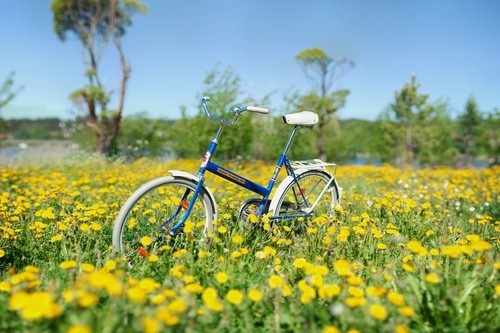 旅行小清新句子简短 有意境的旅行句子简短