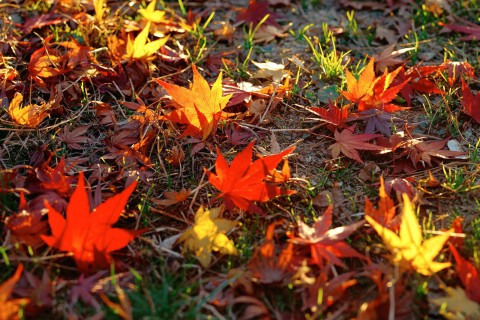 表达无聊的句子