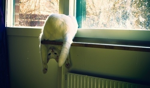 2020年适合发朋友圈的逗比句子