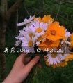 2020辞旧迎新的唯美的句子 辞旧迎新的好句子