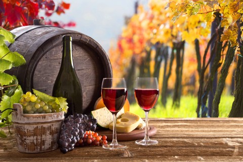 关于读书的名人名言50条