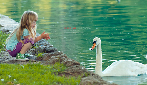 关于珍惜的句子