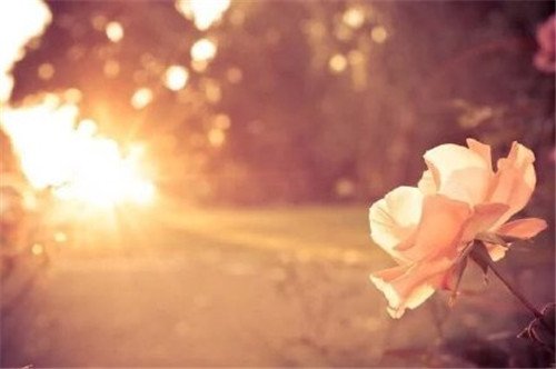 关于理解的句子